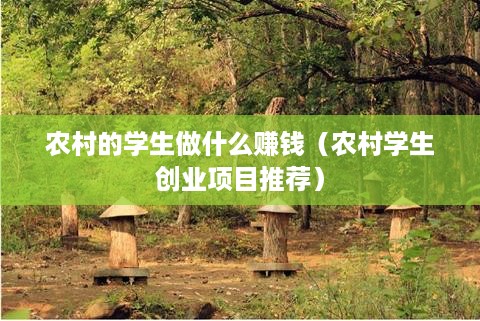 农村的学生做什么赚钱（农村学生创业项目推荐）