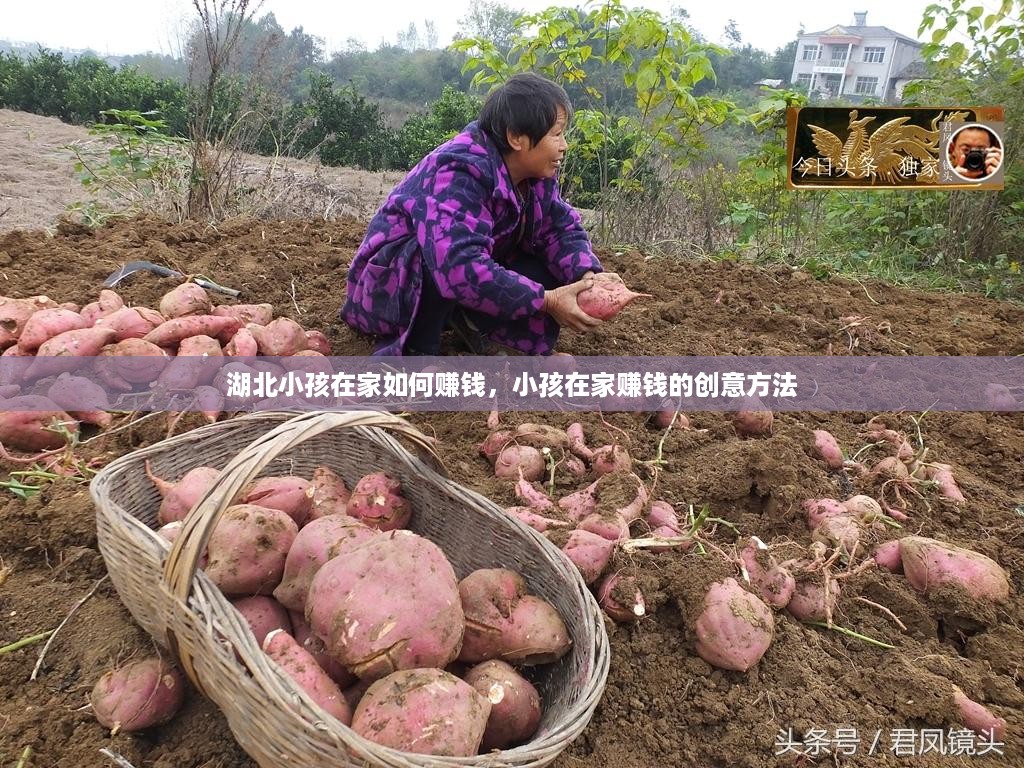 湖北小孩在家如何赚钱，小孩在家赚钱的创意方法