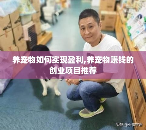 养宠物如何实现盈利,养宠物赚钱的创业项目推荐