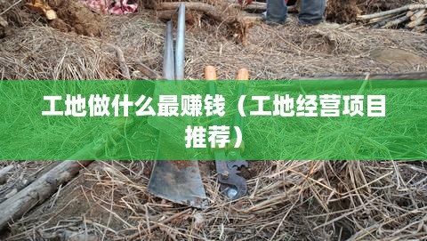 工地做什么最赚钱（工地经营项目推荐）