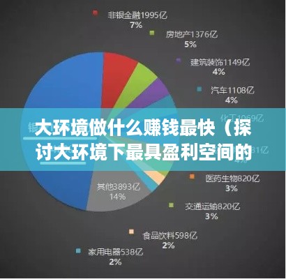 大环境做什么赚钱最快（探讨大环境下最具盈利空间的产业）