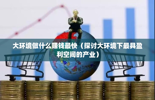 大环境做什么赚钱最快（探讨大环境下最具盈利空间的产业）