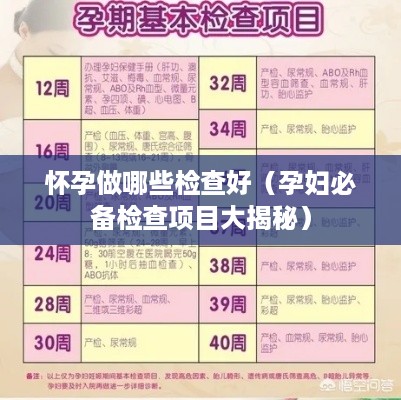 怀孕做哪些检查好（孕妇必备检查项目大揭秘）