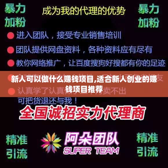 新人可以做什么赚钱项目,适合新人创业的赚钱项目推荐