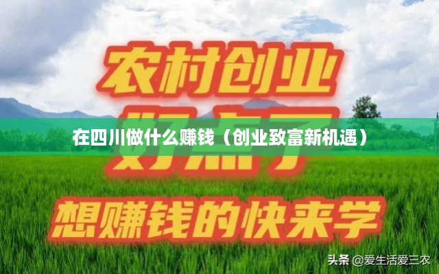在四川做什么赚钱（创业致富新机遇）