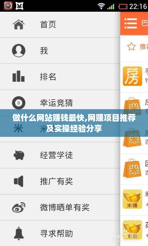 做什么网站赚钱最快,网赚项目推荐及实操经验分享
