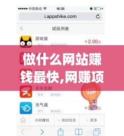 做什么网站赚钱最快,网赚项目推荐及实操经验分享