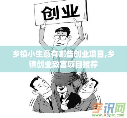 乡镇小生意有哪些创业项目,乡镇创业致富项目推荐