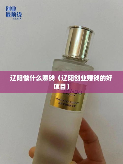 辽阳做什么赚钱（辽阳创业赚钱的好项目）