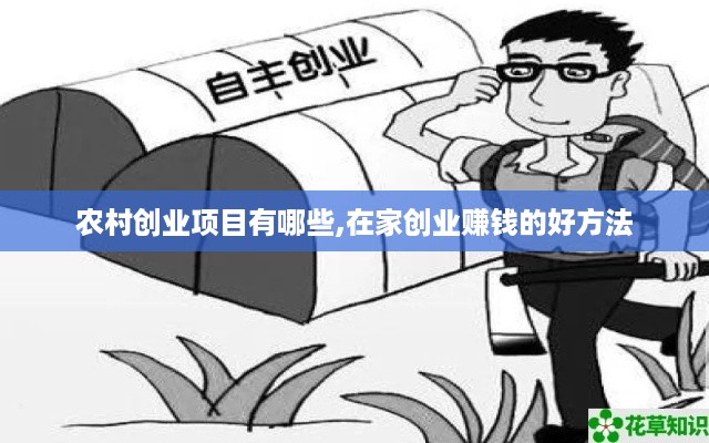 农村创业项目有哪些,在家创业赚钱的好方法