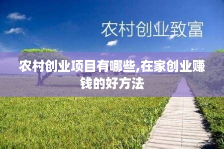 农村创业项目有哪些,在家创业赚钱的好方法
