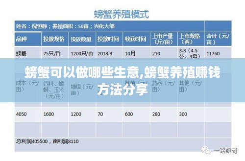 螃蟹可以做哪些生意,螃蟹养殖赚钱方法分享