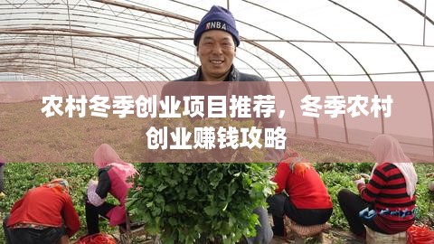 农村冬季创业项目推荐，冬季农村创业赚钱攻略