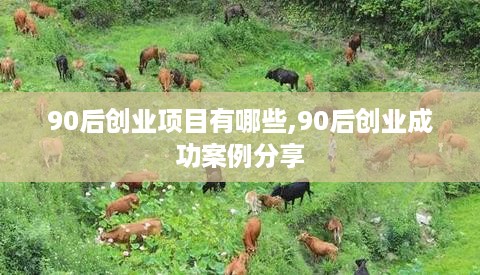 90后创业项目有哪些,90后创业成功案例分享