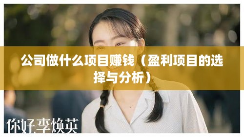 公司做什么项目赚钱（盈利项目的选择与分析）