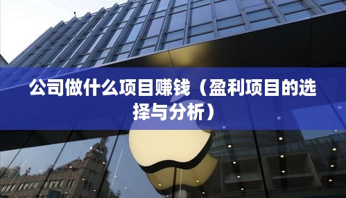 公司做什么项目赚钱（盈利项目的选择与分析）