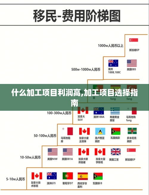 什么加工项目利润高,加工项目选择指南