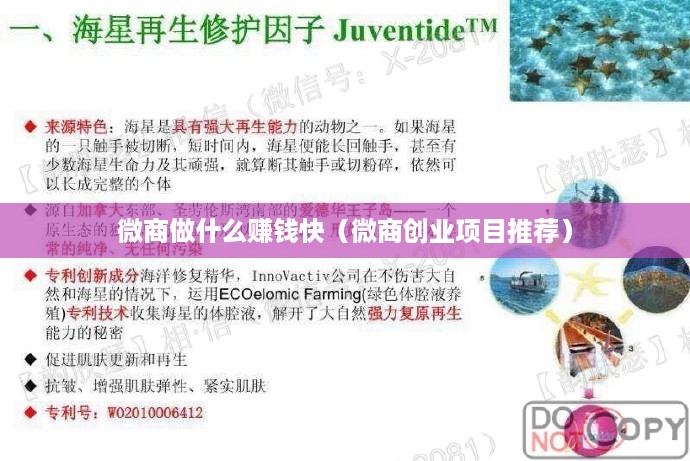 微商做什么赚钱快（微商创业项目推荐）