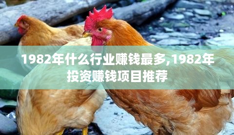 1982年什么行业赚钱最多,1982年投资赚钱项目推荐