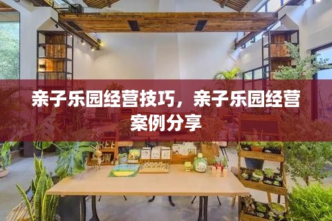 亲子乐园经营技巧，亲子乐园经营案例分享