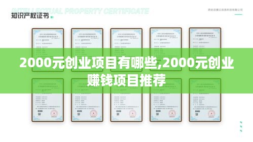 2000元创业项目有哪些,2000元创业赚钱项目推荐