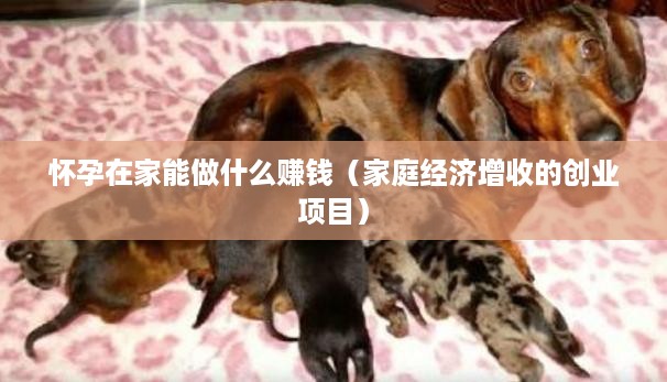 怀孕在家能做什么赚钱（家庭经济增收的创业项目）