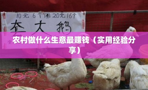 农村做什么生意最赚钱（实用经验分享）