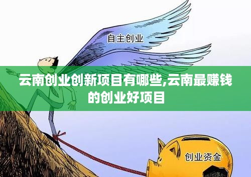 云南创业创新项目有哪些,云南最赚钱的创业好项目