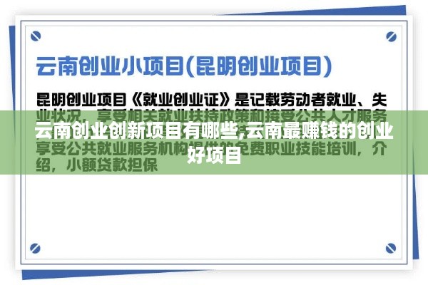 云南创业创新项目有哪些,云南最赚钱的创业好项目