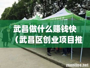 武昌做什么赚钱快（武昌区创业项目推荐）
