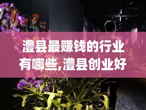 澧县最赚钱的行业有哪些,澧县创业好项目推荐