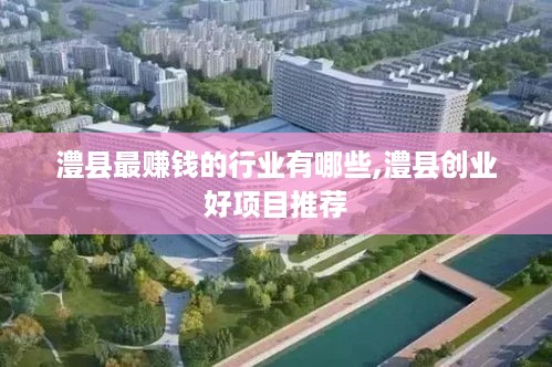 澧县最赚钱的行业有哪些,澧县创业好项目推荐