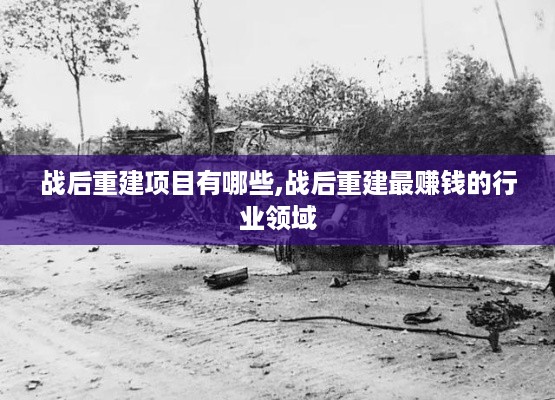 战后重建项目有哪些,战后重建最赚钱的行业领域