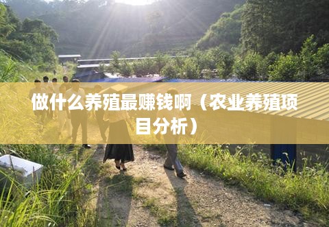 做什么养殖最赚钱啊（农业养殖项目分析）