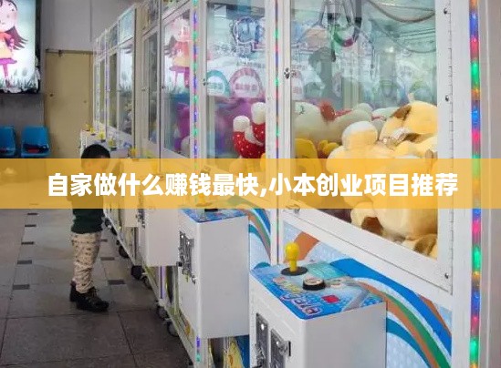 自家做什么赚钱最快,小本创业项目推荐