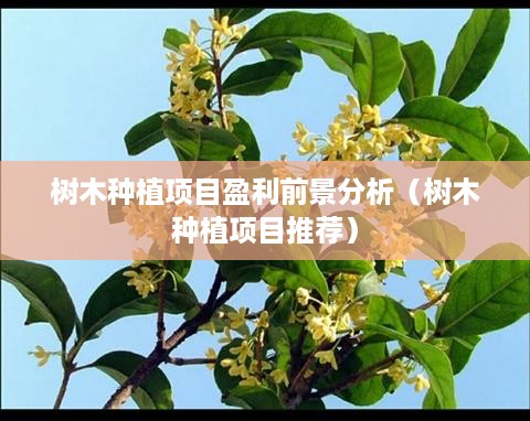 树木种植项目盈利前景分析（树木种植项目推荐）