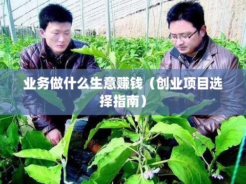 业务做什么生意赚钱（创业项目选择指南）