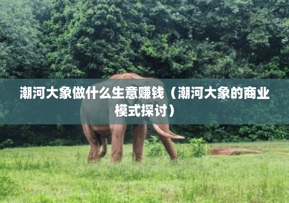 潮河大象做什么生意赚钱（潮河大象的商业模式探讨）
