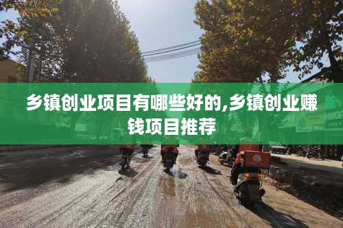 乡镇创业项目有哪些好的,乡镇创业赚钱项目推荐