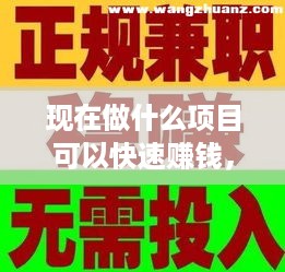 现在做什么项目可以快速赚钱，快速赚钱的方法有哪些