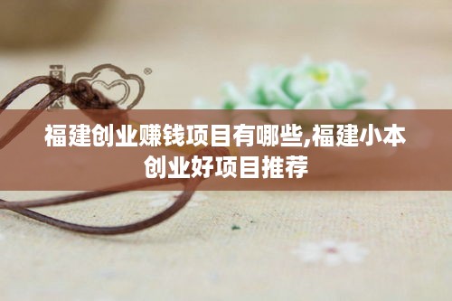 福建创业赚钱项目有哪些,福建小本创业好项目推荐