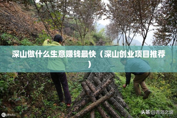 深山做什么生意赚钱最快（深山创业项目推荐）