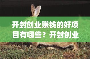 开封创业赚钱的好项目有哪些？开封创业市场前景如何？