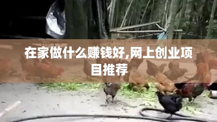 在家做什么赚钱好,网上创业项目推荐