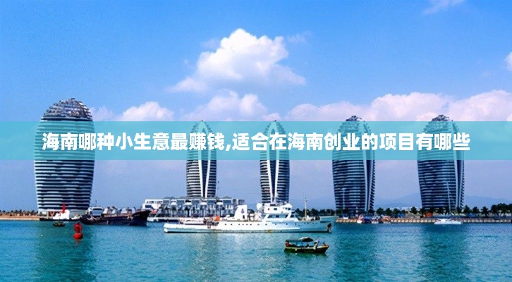 海南哪种小生意最赚钱,适合在海南创业的项目有哪些
