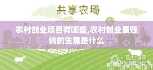 农村创业项目有哪些,农村创业最赚钱的生意是什么