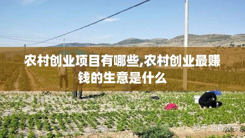 农村创业项目有哪些,农村创业最赚钱的生意是什么