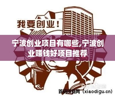 宁波创业项目有哪些,宁波创业赚钱好项目推荐