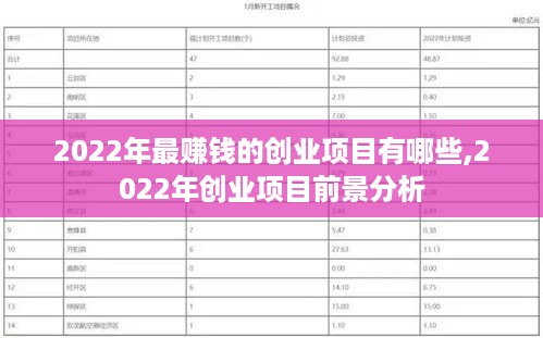 2022年最赚钱的创业项目有哪些,2022年创业项目前景分析