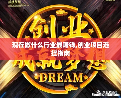 现在做什么行业最赚钱,创业项目选择指南